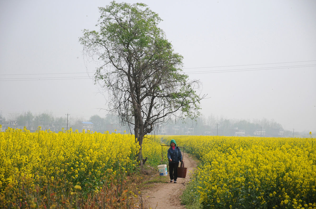 农田水利工程设计监管维护问题探析