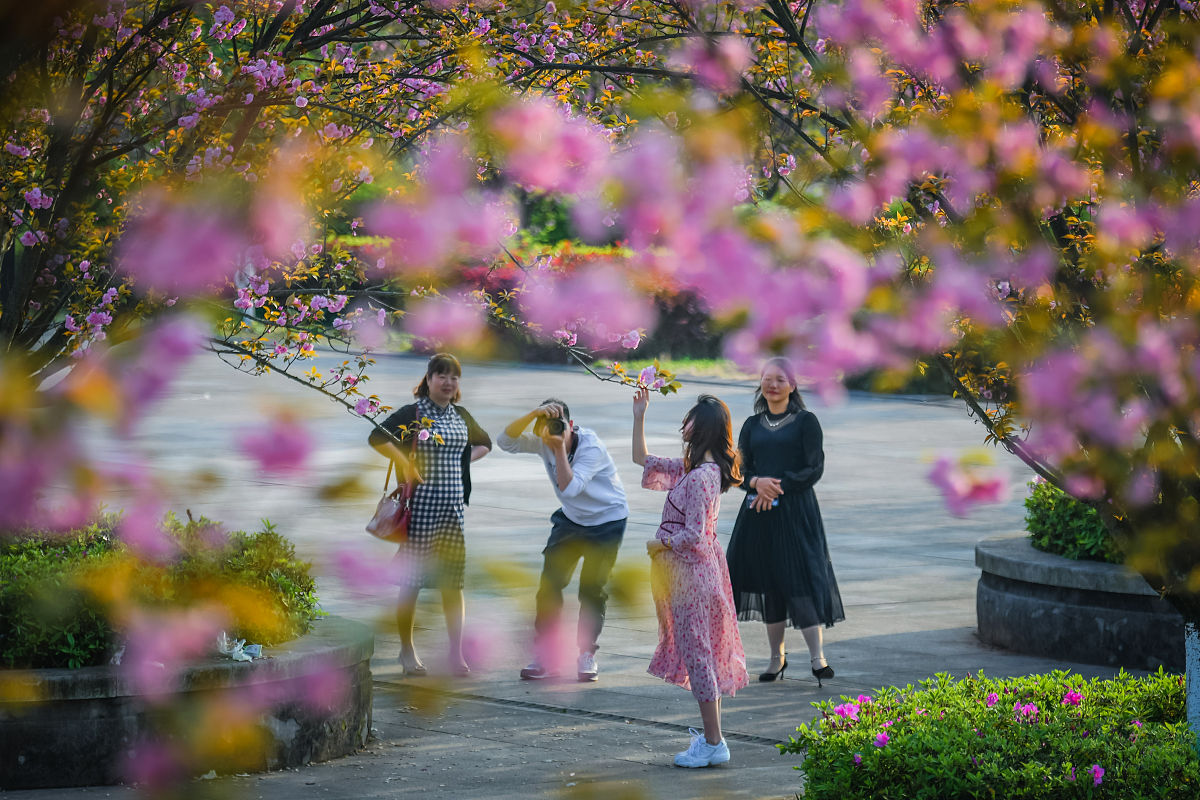 2021年云南经贸外事职业学院中高考招生信息