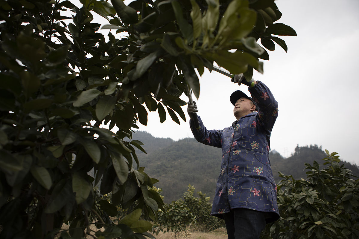 重庆市奉节职业教育中心2022年报名需要满足哪些条件