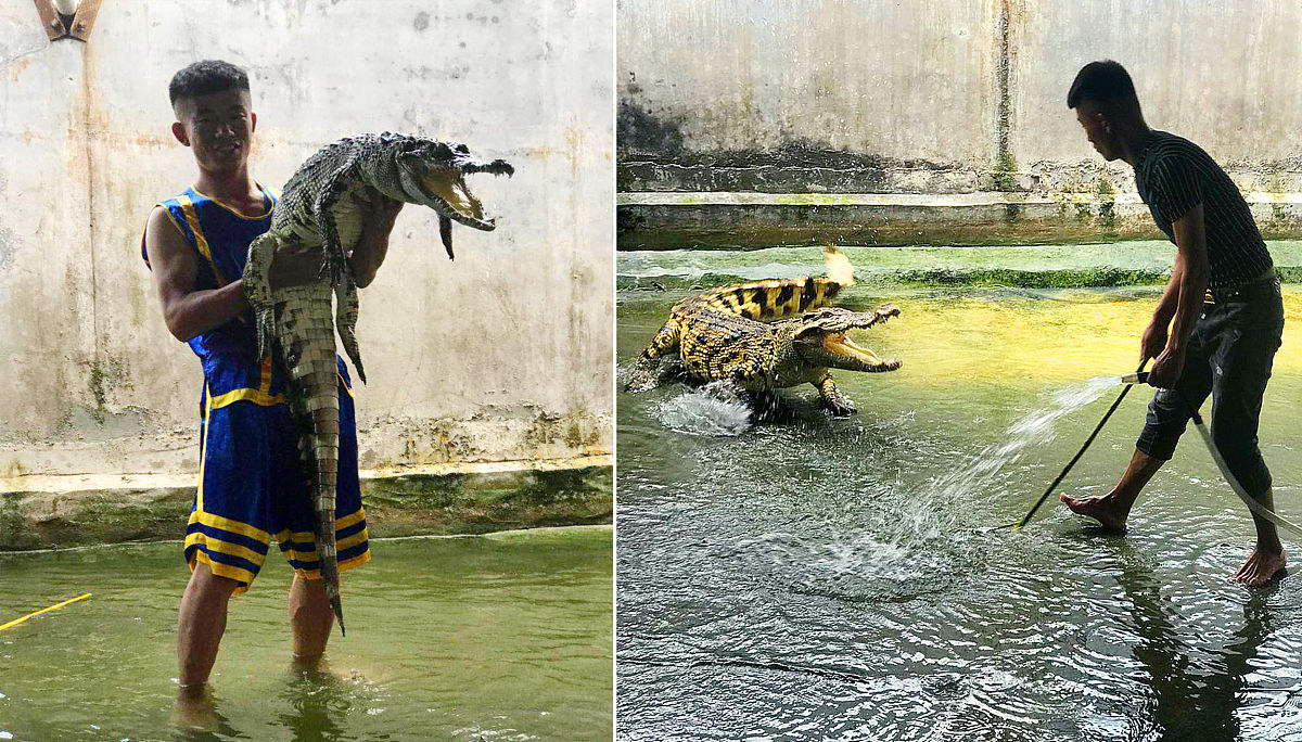 女朋友名字缩写CG做网名，求创意昵称！