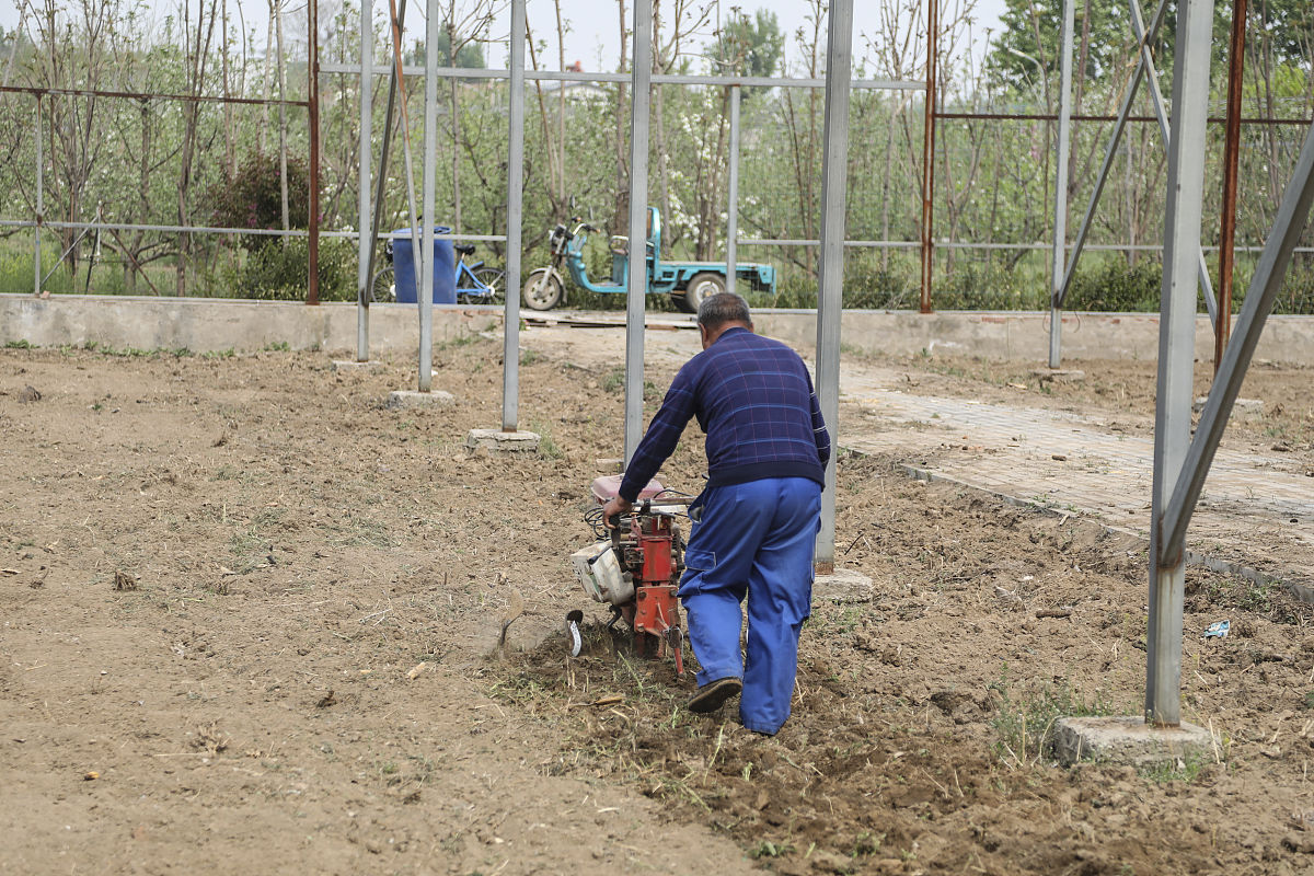 龙门绿篱修球机连接轴的作用：提升效率，延长使用寿命