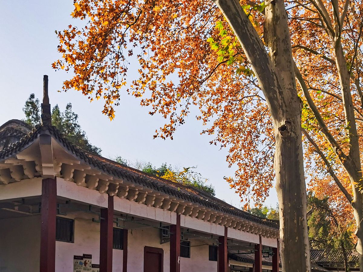 2021年11月24日,河南洛阳,东周王城遗址公园.