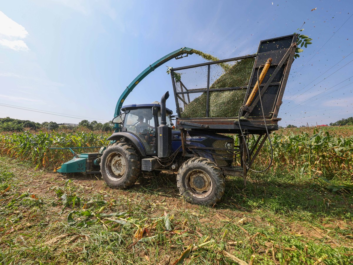 重庆农村机械使用与维护招生：提高农业生产效率的关键