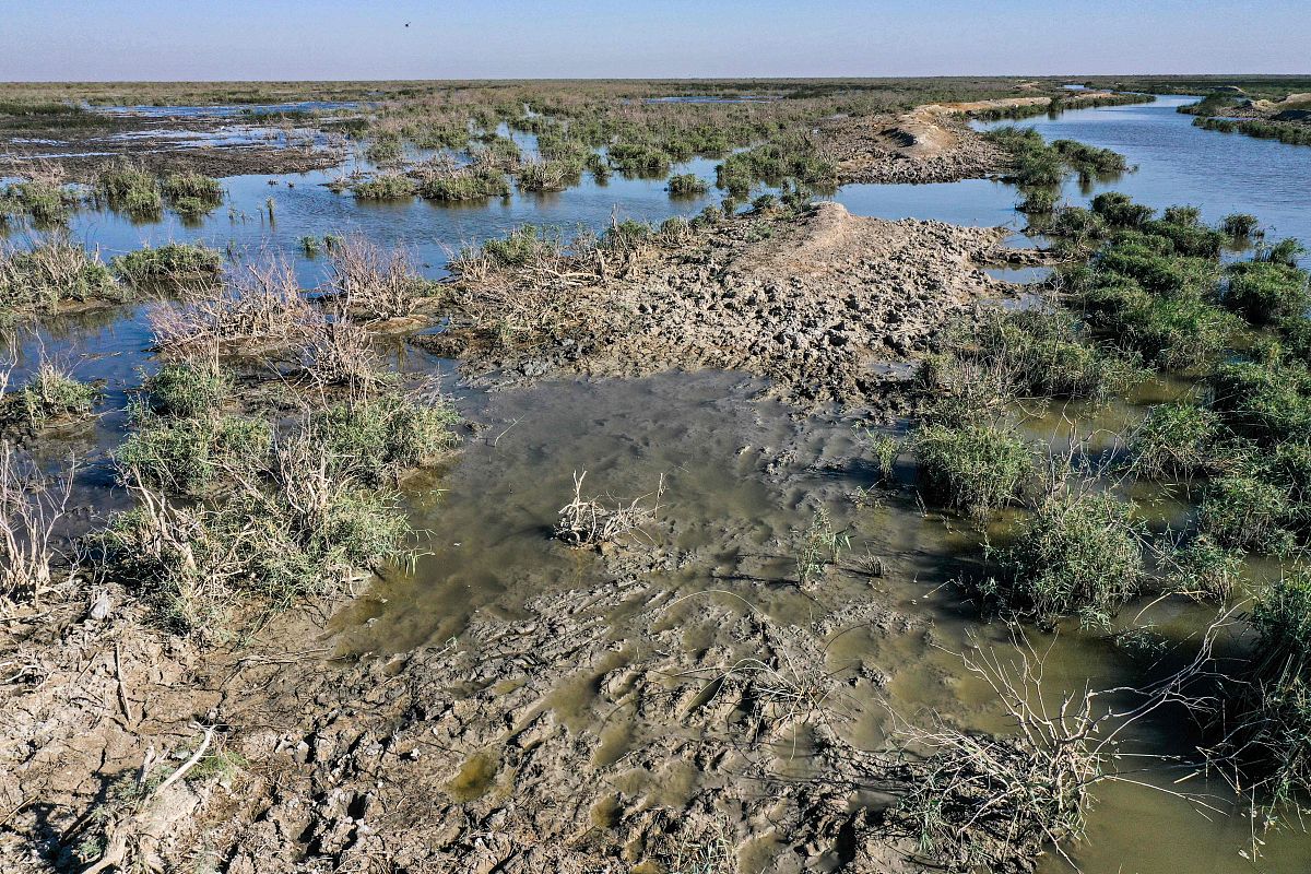 黑龙江粮食职业学院五年制大专2022收往届生吗