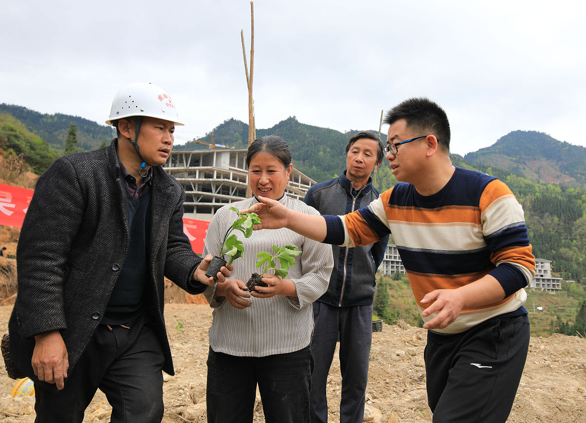 华坪县职业高中现代农艺技术专业招生：培养高素质农业人才