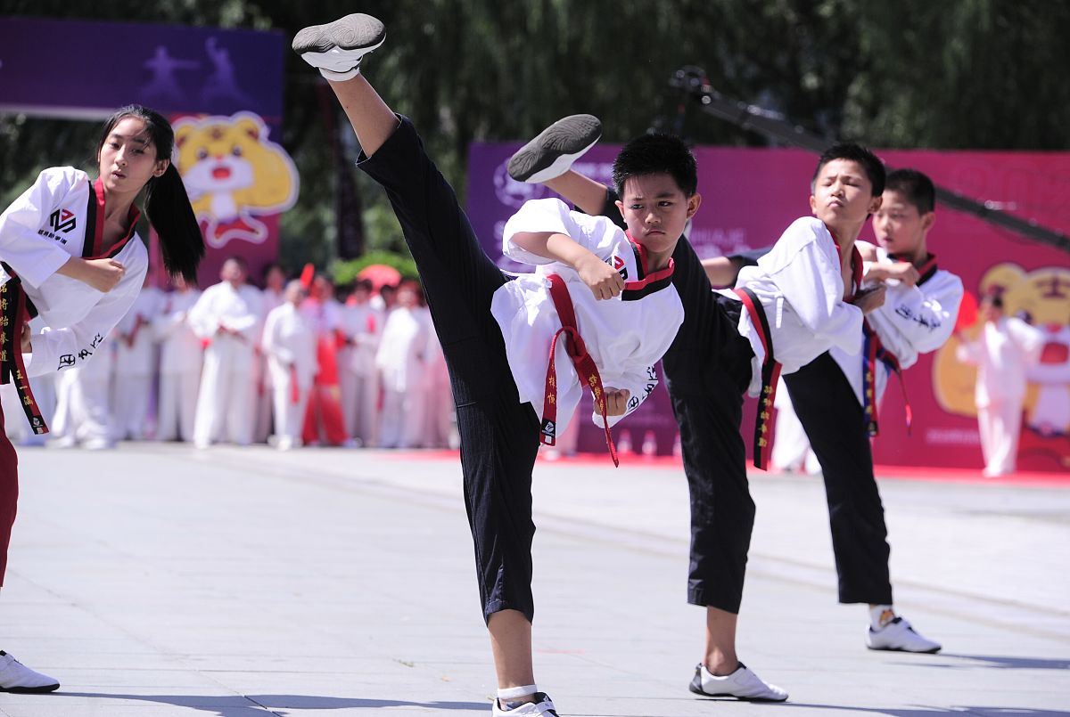 沈阳师范大学武术与民族传统体育专业怎么样
