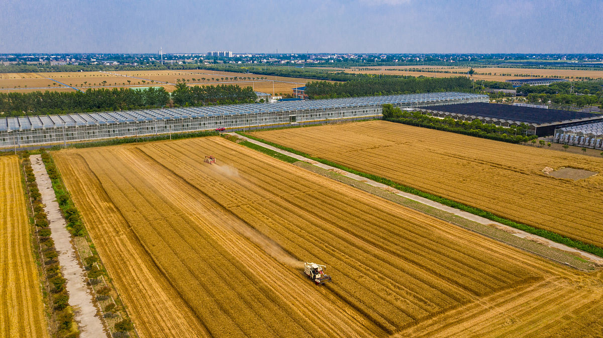 重庆第二农业学校2022年招生简章：热门专业解读