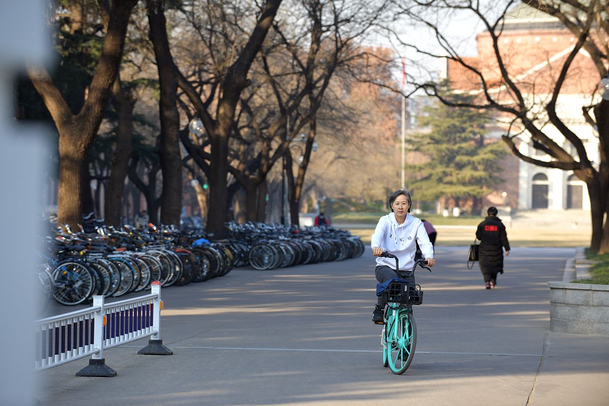 清华校园出行方式选择：骑车还是步行？