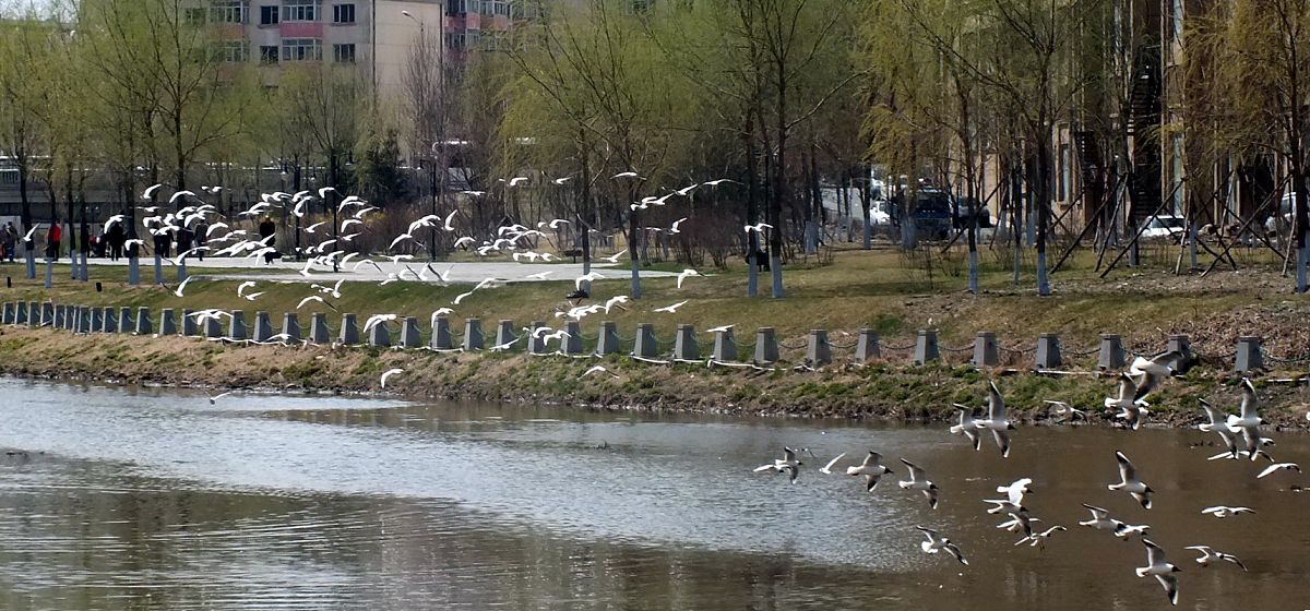 齐齐哈尔林业学校湿地与自然保护区管理专业介绍 - 培养湿地保护人才