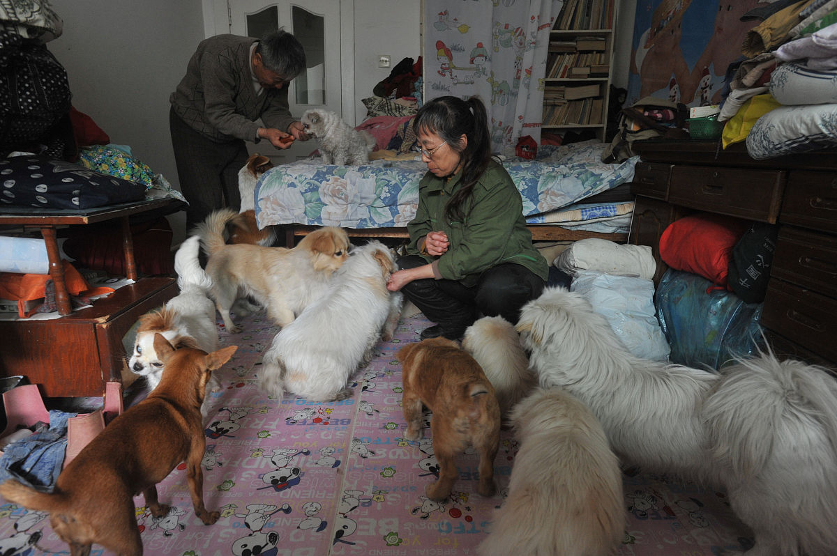 流浪猫的生命，两次重生：永不赚钱的爱心粮计划