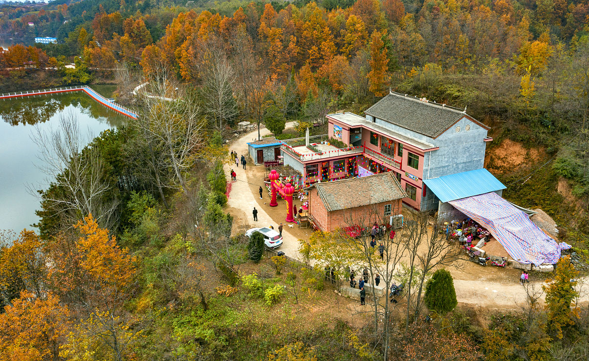 洛南职业技术教育中心地址在哪里