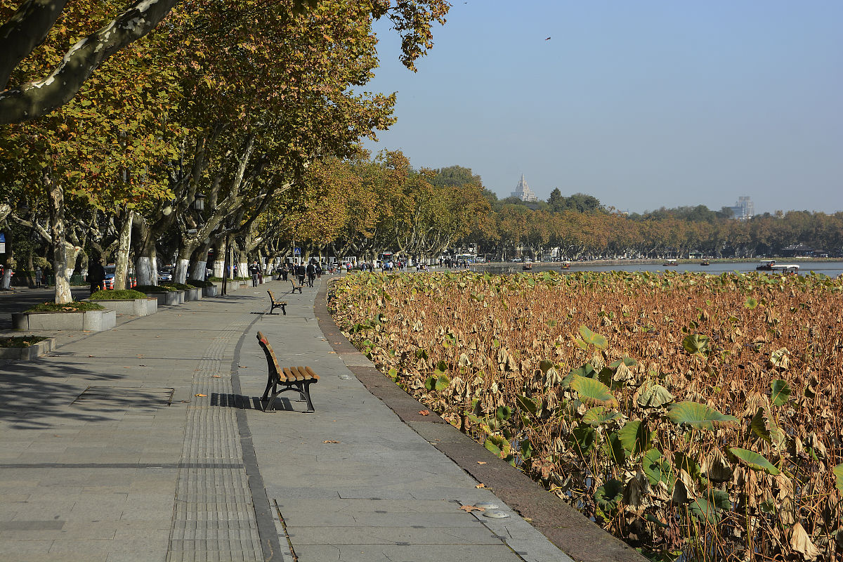 杭州西湖职业高级中学2023年招生电话：0571-xxxxxxxx