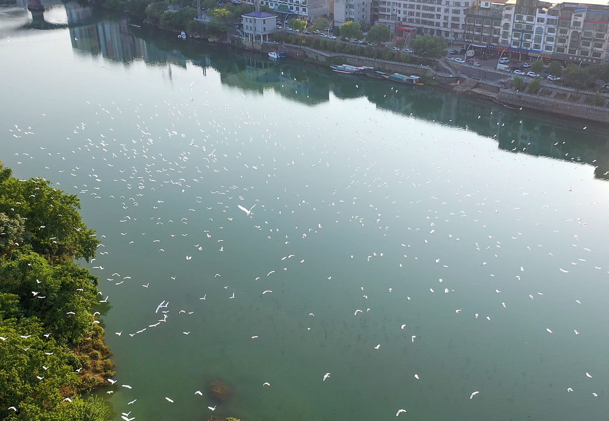 人与自然和谐共生七言律诗