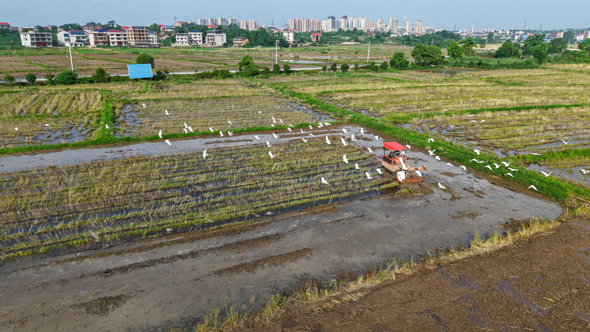门村水环境现状和门村门屯甘蔗双高基地水利设施建设调研活动请你为这活动写出一句活动主题或标题