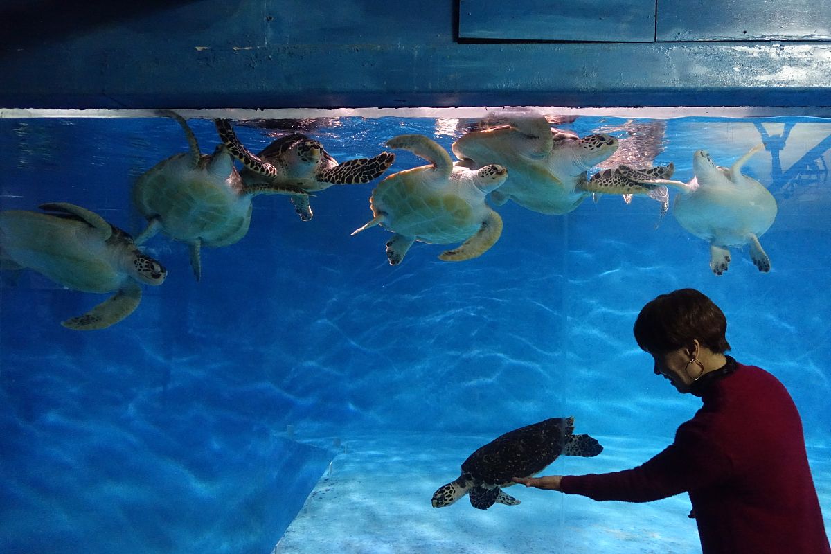 2020年大连海洋学校招生简章 - 培养海洋人才，开启梦想之旅