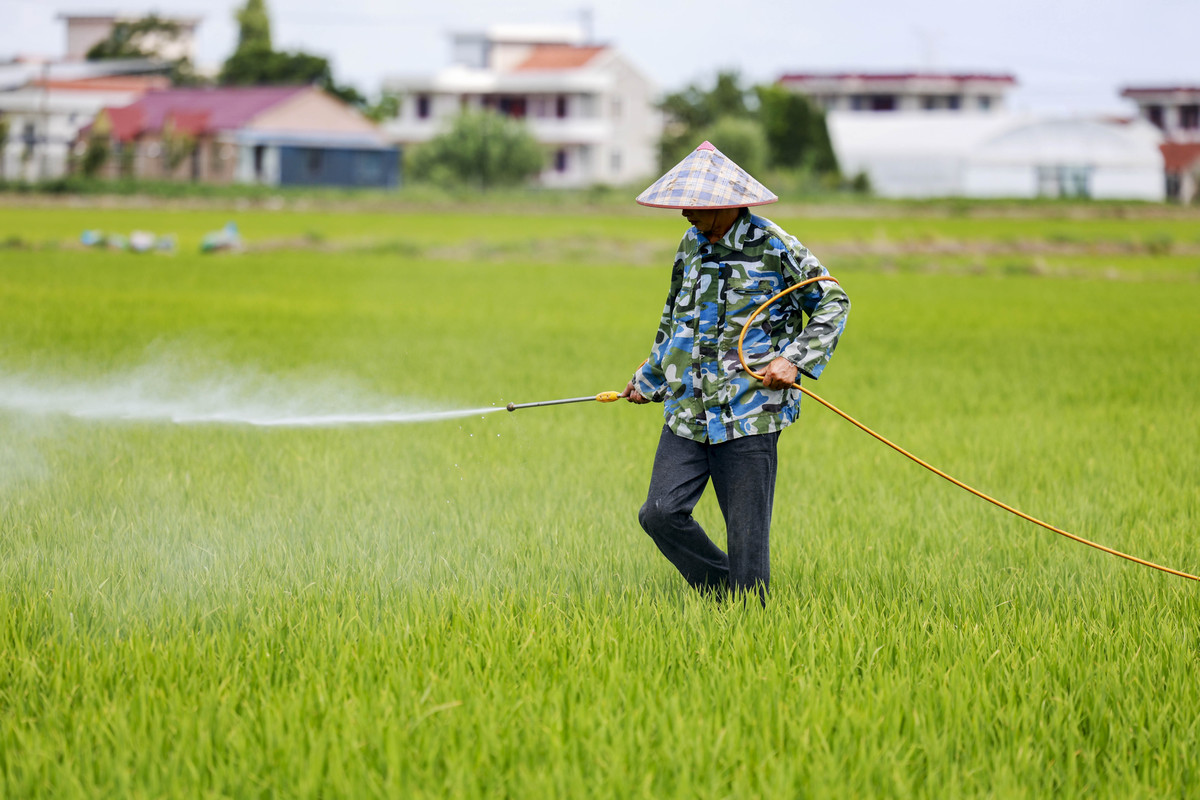 植物化学保护：一种环保、高效的农业技术