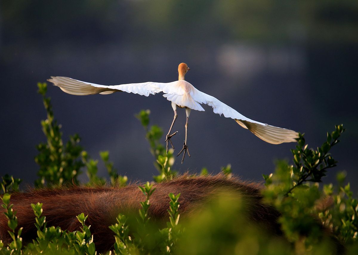 清晨，与鹤暄的温馨时光