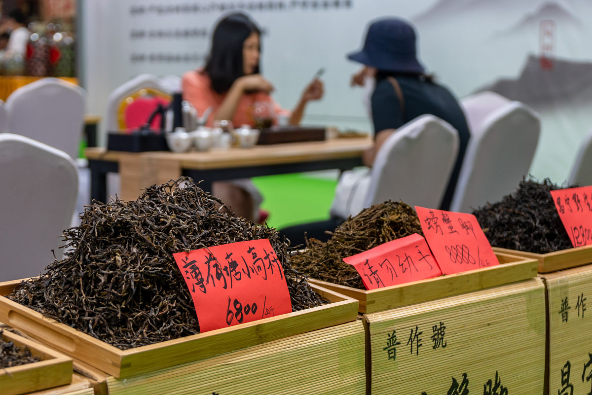 探店茶叶店：感受茶香魅力，品味茶文化