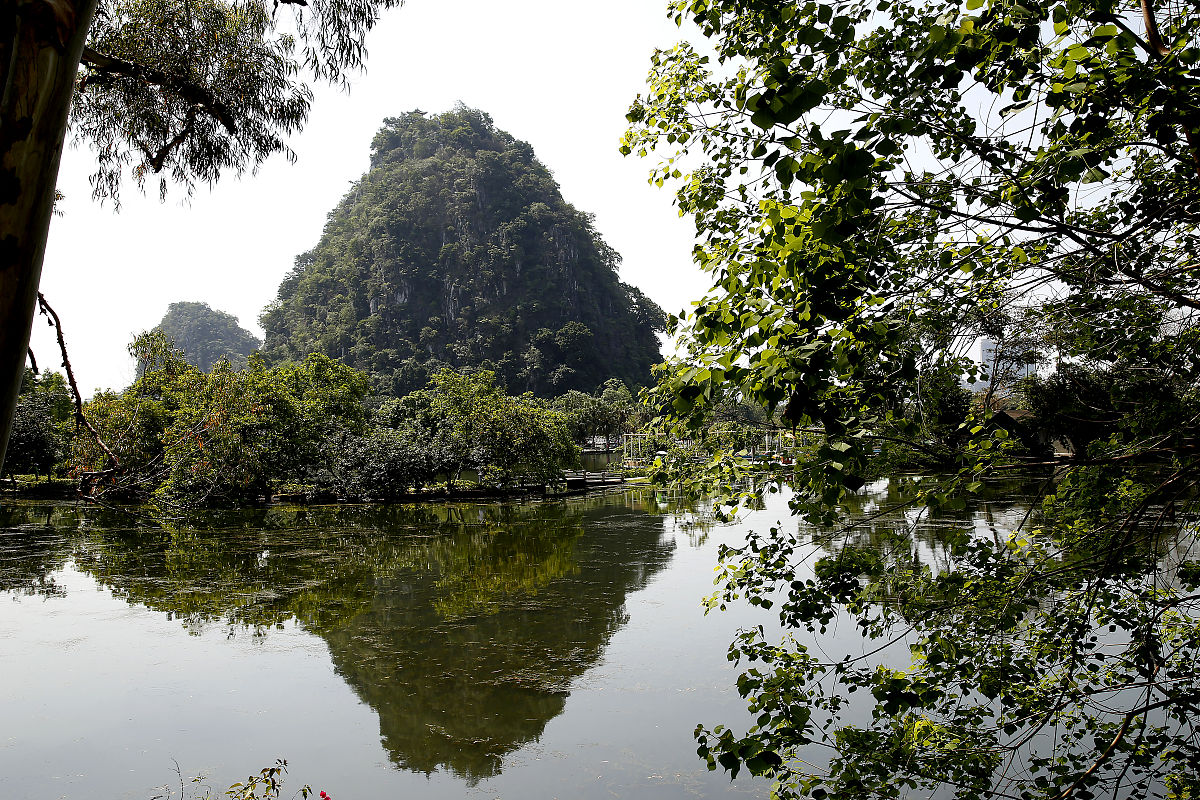你是学生我是老师给你一个题目写五首古诗题目内容为五一有人去旅游有人回家只有自己还在学习努力学习要有题目