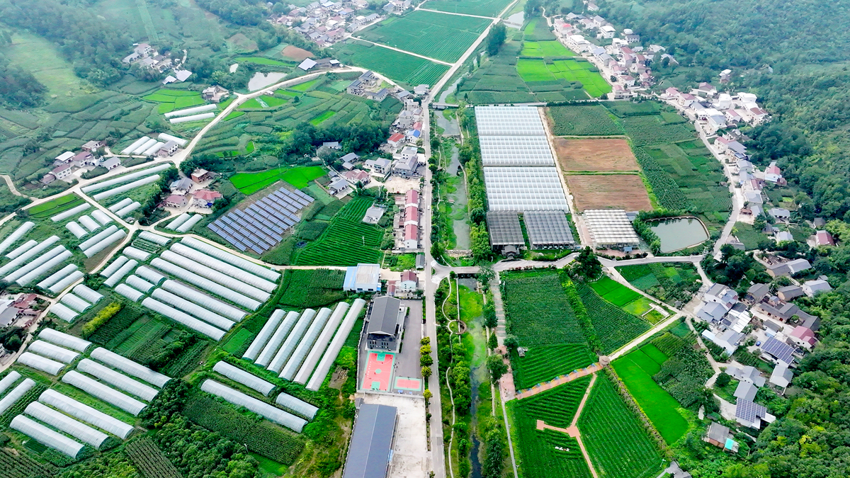 中国农村未来发展趋势：机遇与挑战