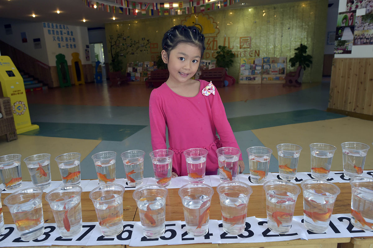 小学纸杯变变变课程：探究科学，激发创意！