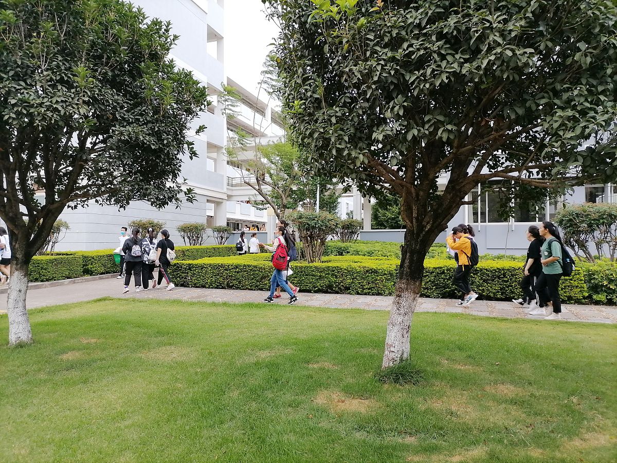 2020年7月8日,云南蒙自一中高考考点,高考第二天,走进考场的学子们.