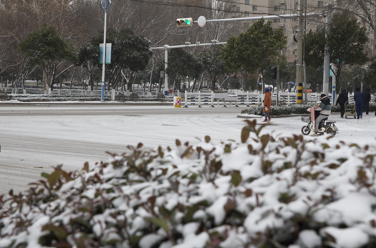 2020年12月29日,受寒潮影响,山东省济南市平阴县迎来降雪.