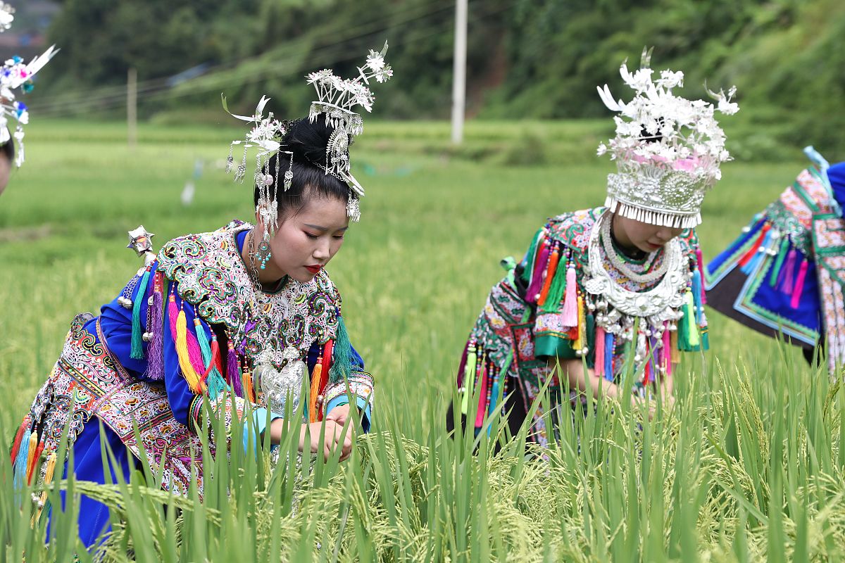如需下载使用,请务必署名:那志奎/视觉中国,谢谢!2019年8月17日,贵州