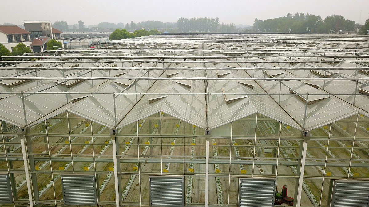 拱形农业大棚结构设计思想与根据