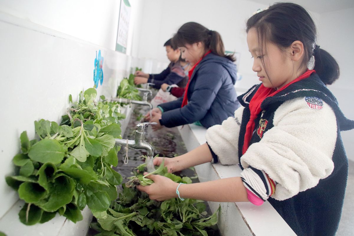 山东烟台农业学校办学怎么样？