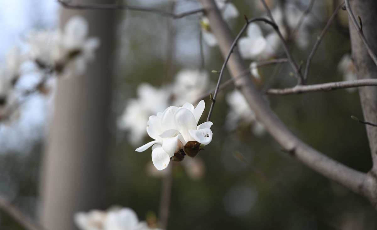 合肥2022年中专和专科的区别