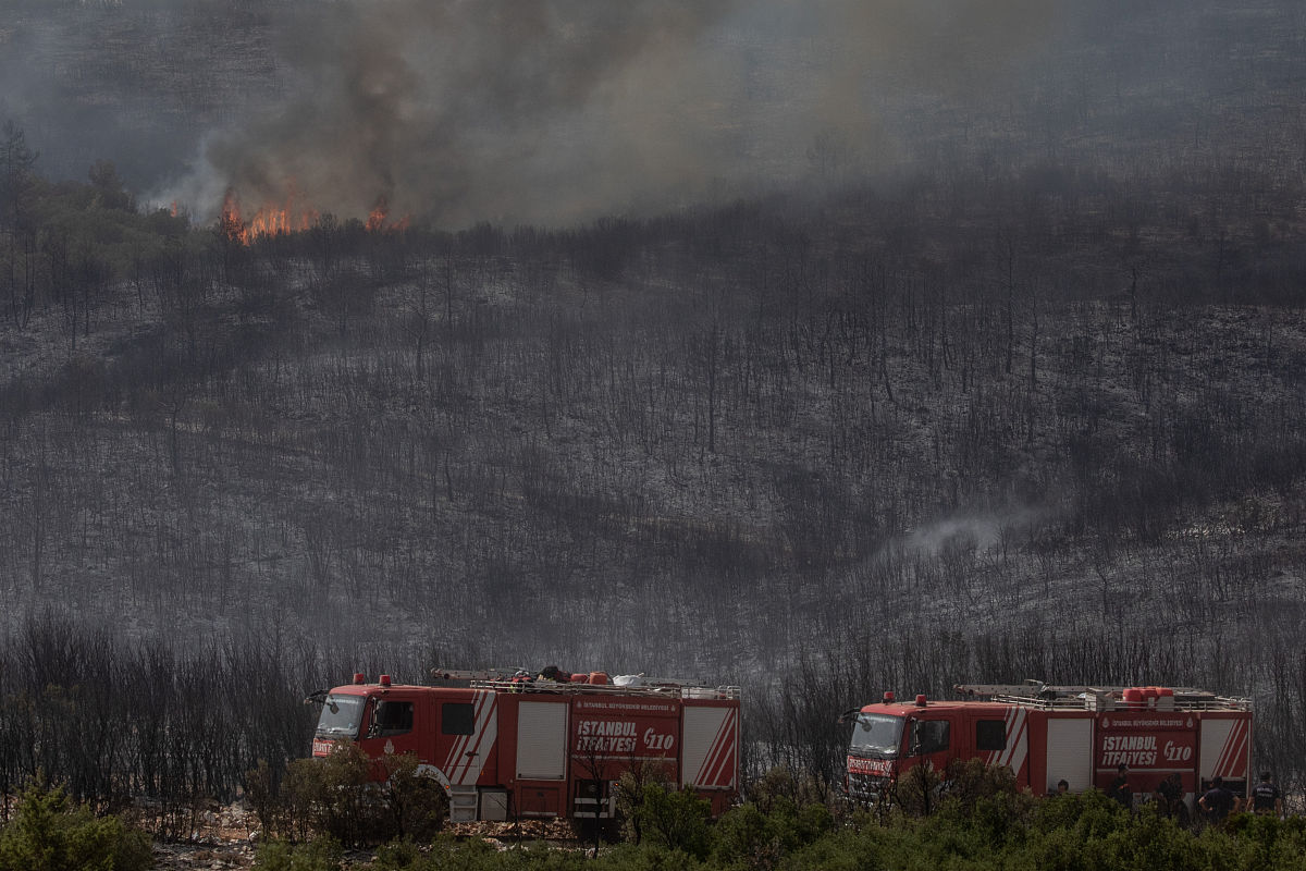 兰州园艺学校现代林业技术专业从业方向