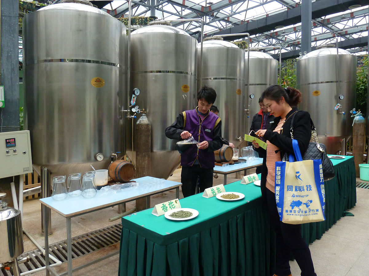 简历中啤酒、搅拌型酸奶制作实习的收获