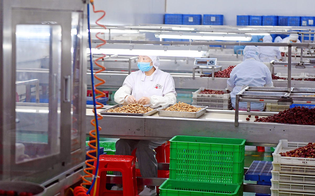 好想你公司发展战略保障措施研究
