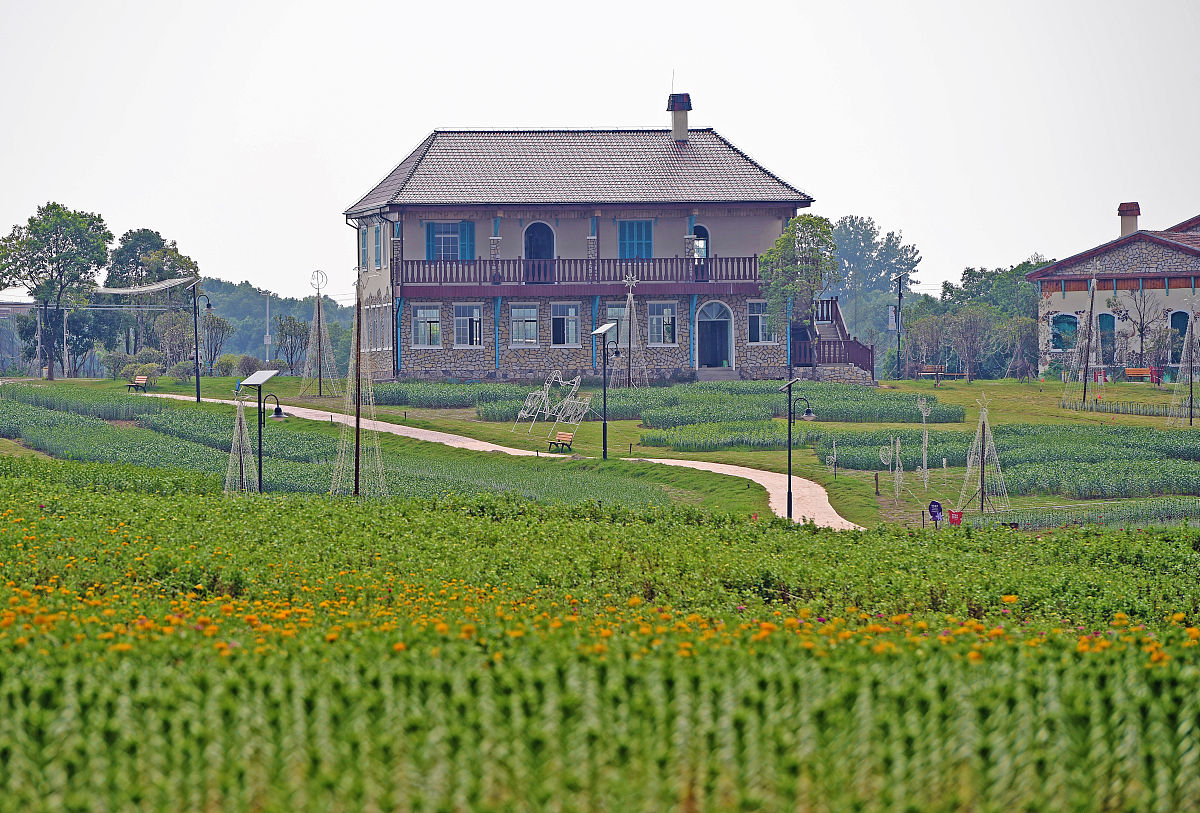 写一篇乡村旅游10000论文