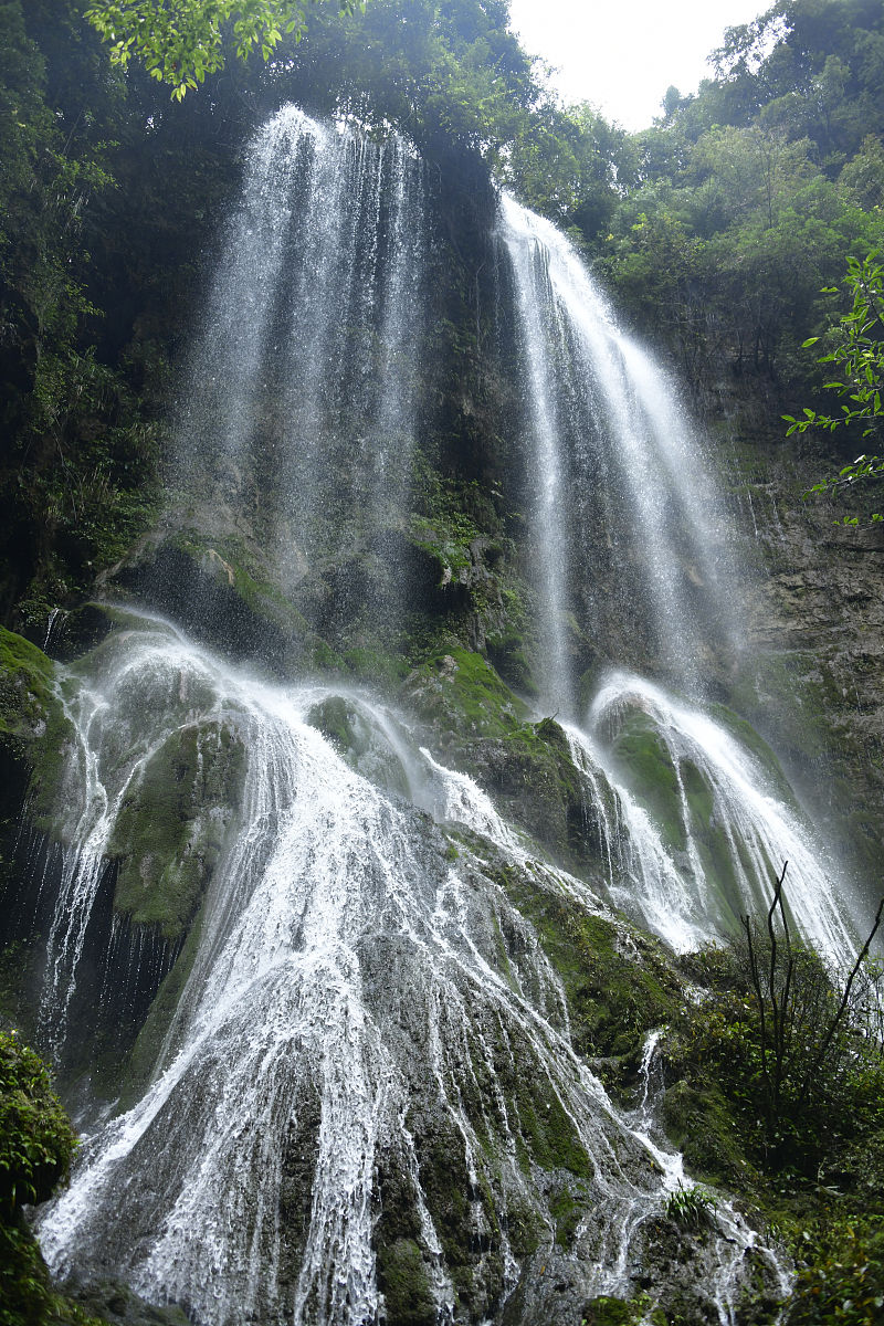 2020年贵州省旅游学校招生简章 - 报名指南