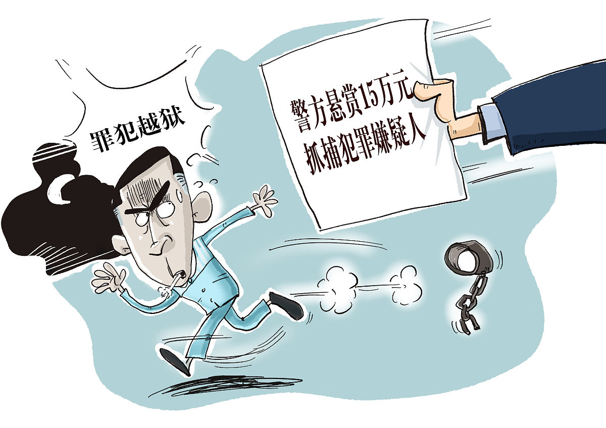 有限责任公司股东违反出资义务：法律依据解析及案例分析
