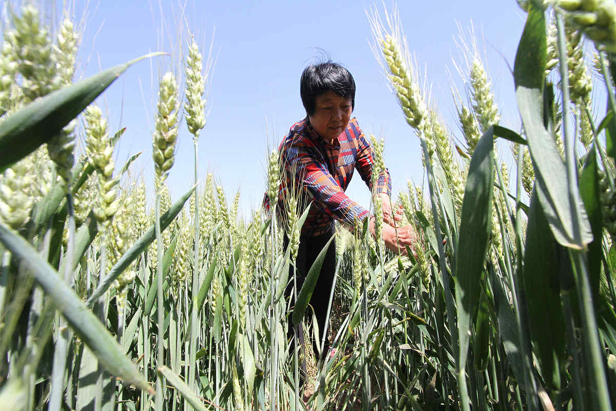 北京大兴区第一职业学校园林花卉专业怎么样