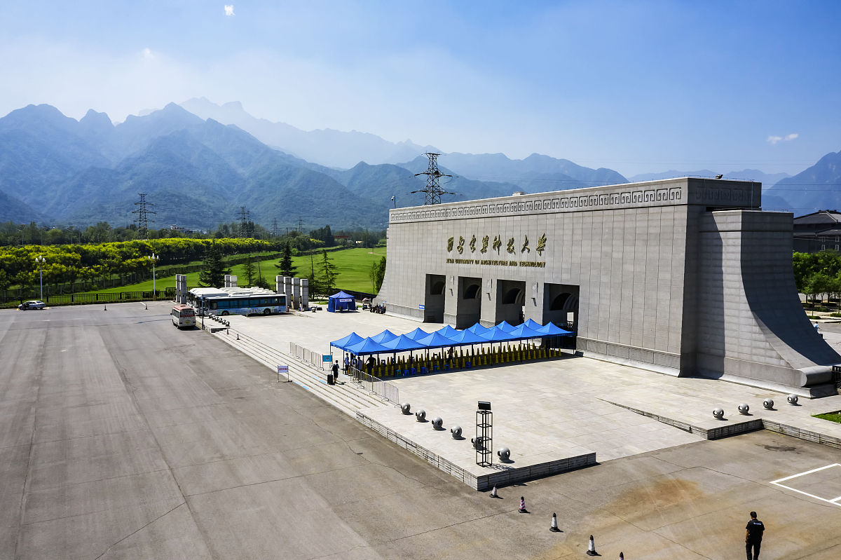 西安建筑科技大学的金属材料工程专业就业前景怎么样