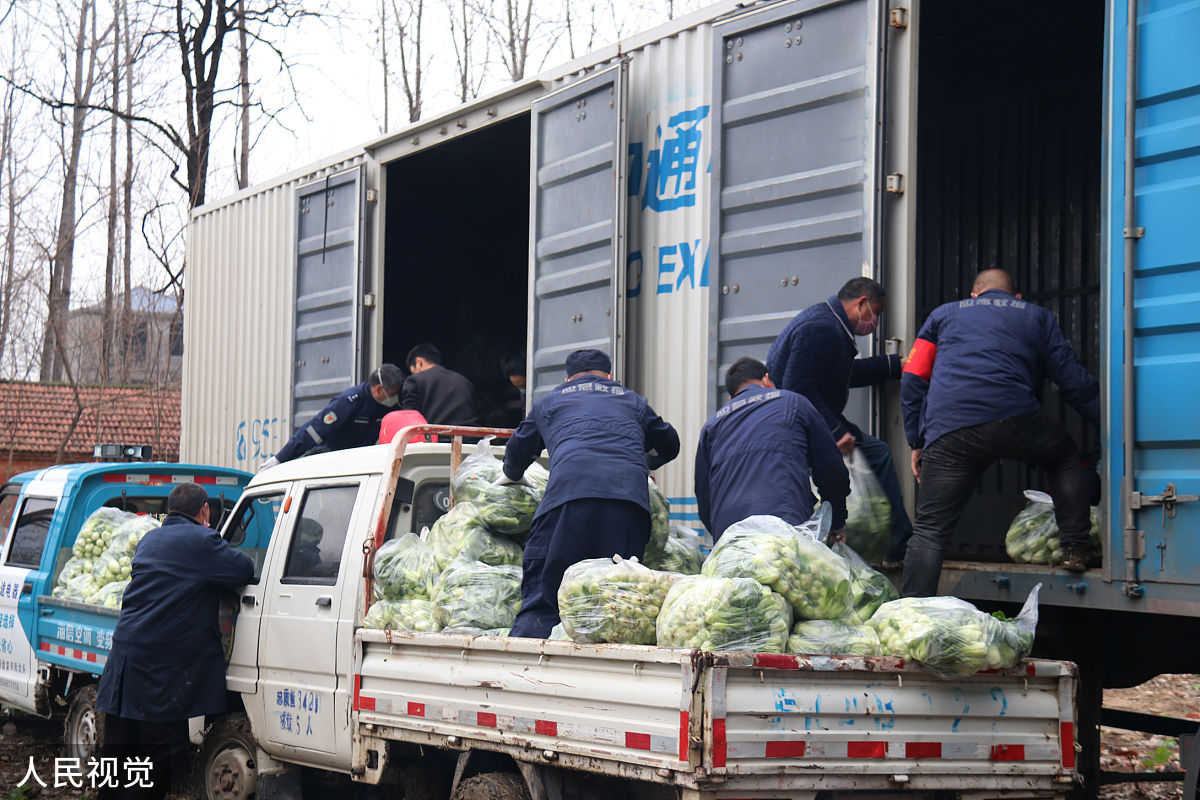 生鲜装卸搬运：如何保证食品安全和新鲜？