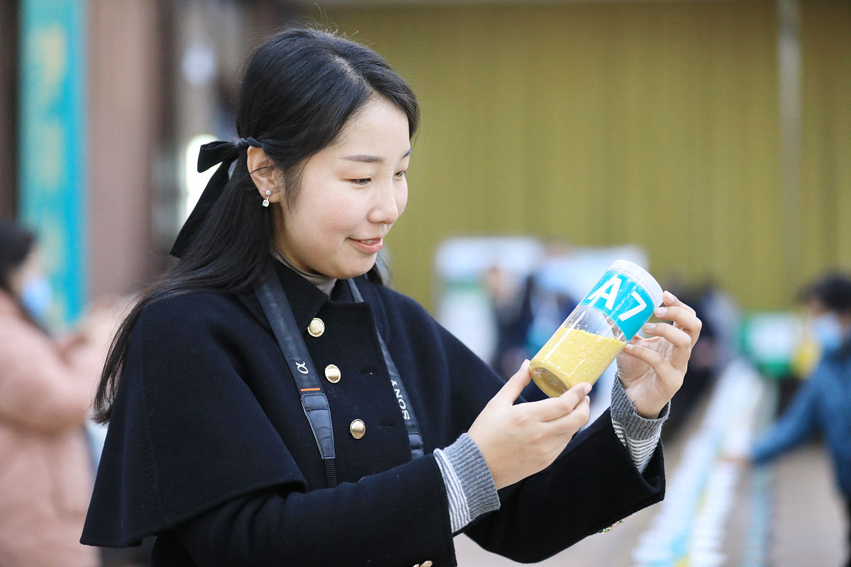 500字的年终总结