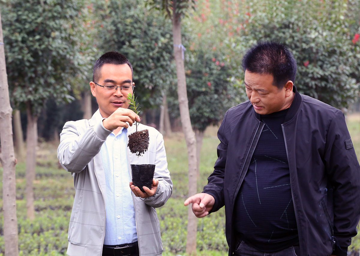 如何平衡教学与科研工作