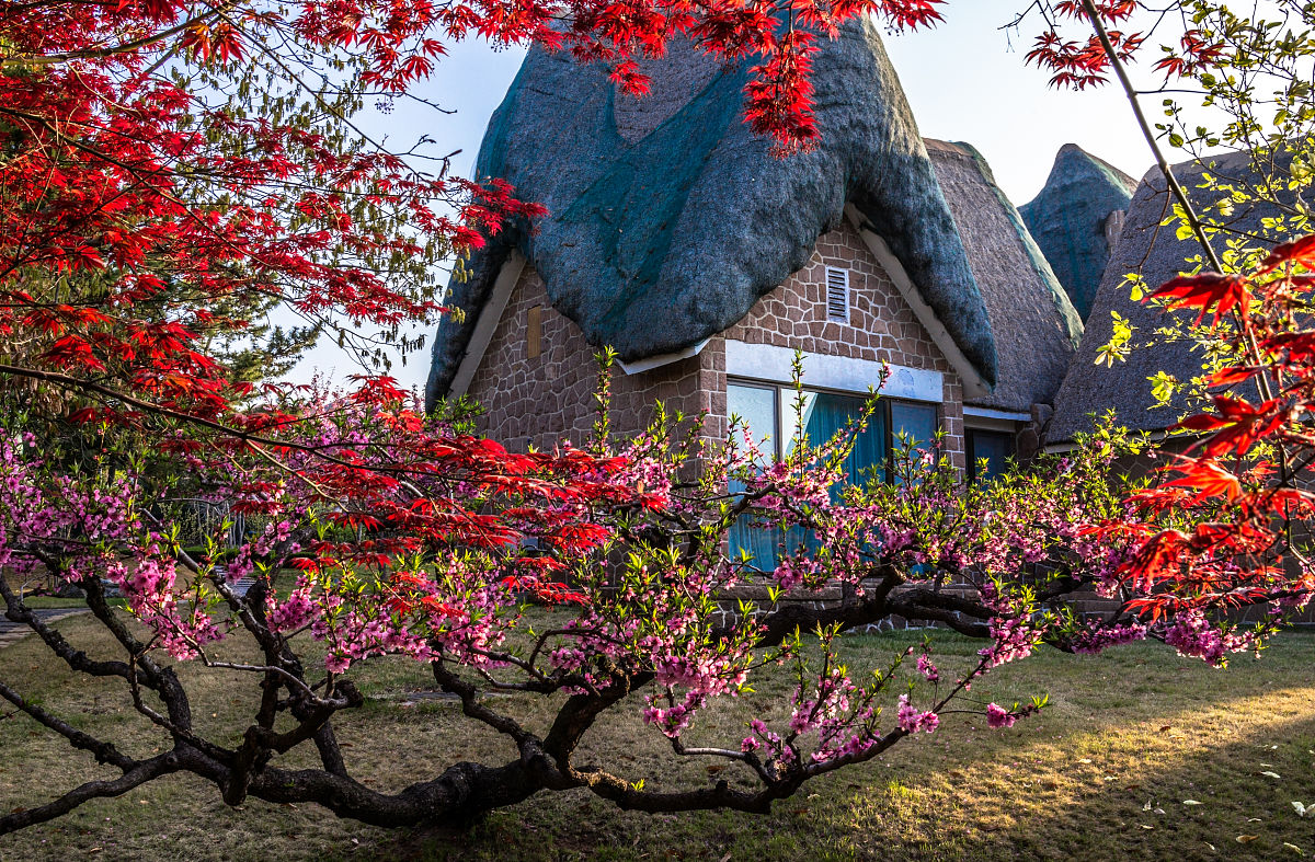 2015年4月30日,山东威海,荣成海草房.