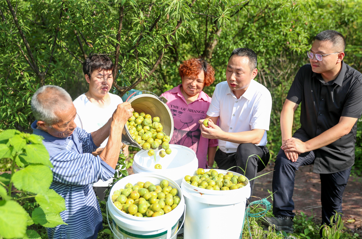 通过核桃的销售能否带动村民直接就业多少人和间接就业多少人