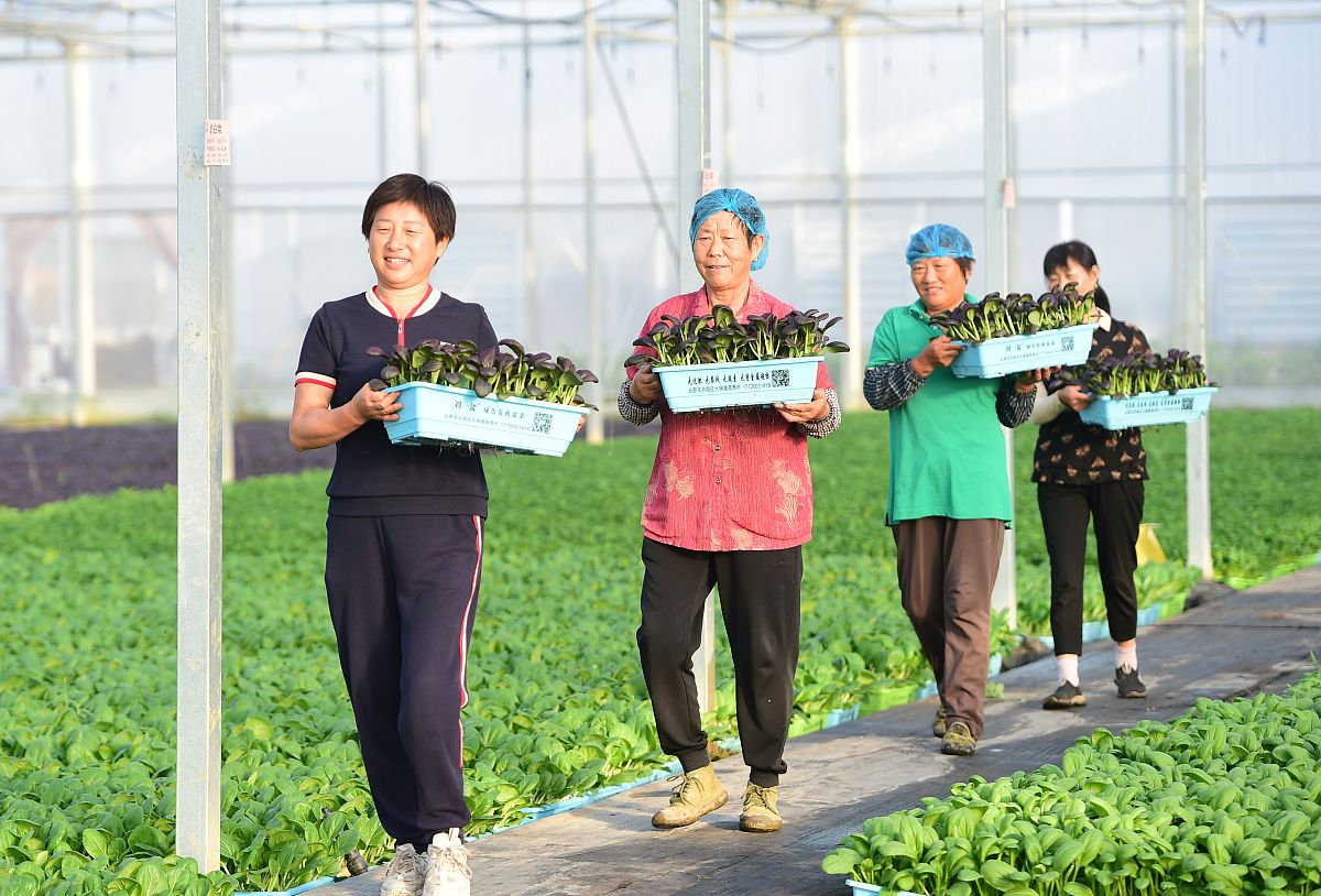 郑州市技师学院的农副产品加工「涉农中级工」行业优势