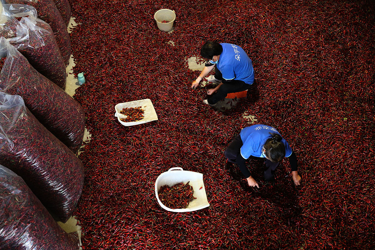 2020年重庆的卫校好还是高中好