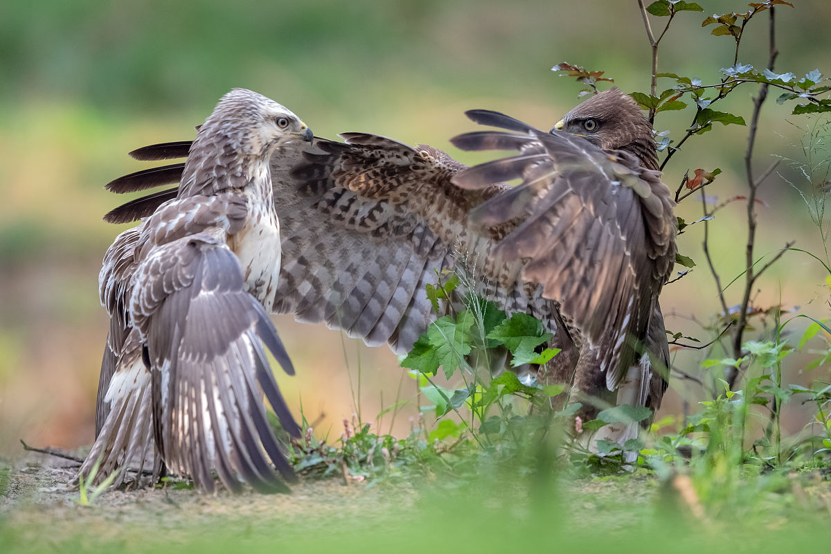青岛第二卫生学校2021年招生简章