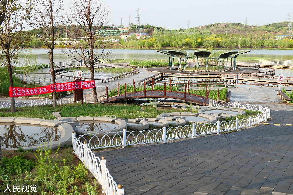 河湖长制上下游联防联控：实现水资源协调管理和生态保护