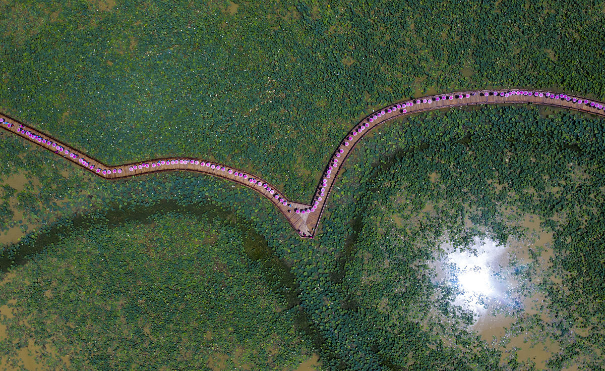东莞卫生学校地址在哪里