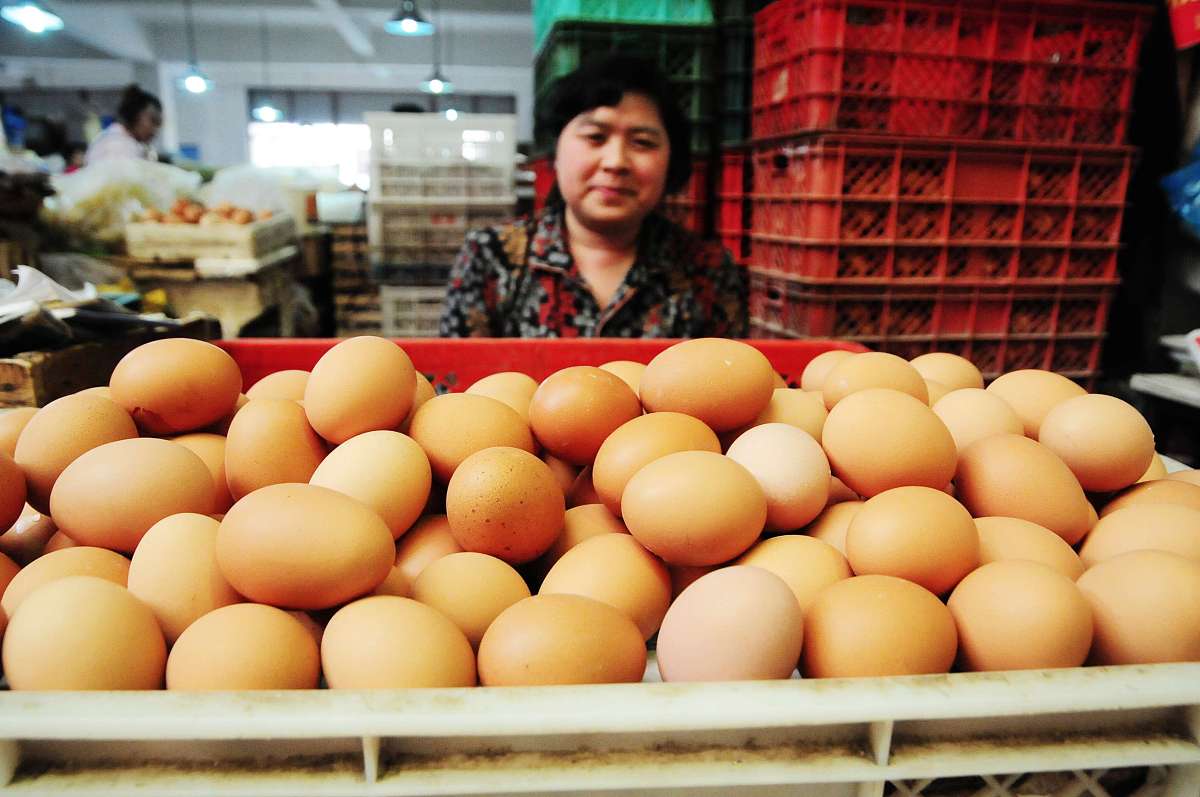 鸡蛋荒席卷全球？为什么鸡蛋开始不够了